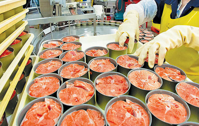 Fish Canning Production Line