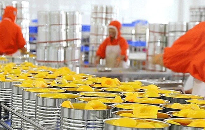 Canned Fruit Production Line