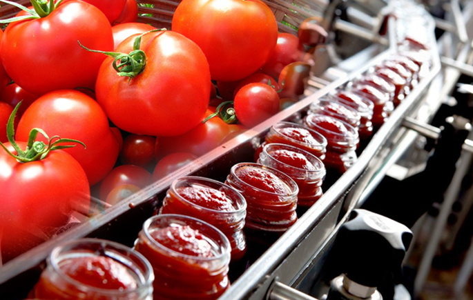 Vegetable Canning Production Line