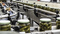Canned Cucumber