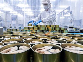 Canned Tuna Production Line