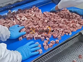 Canned Beef Production Line
