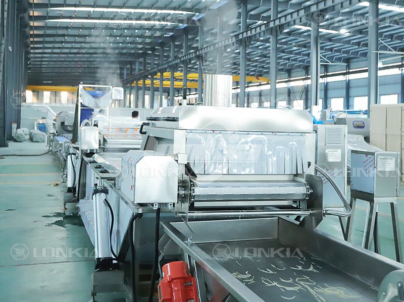 blanching machine for potatoes