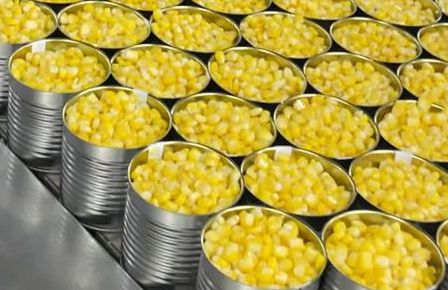 Corn & Beans Canning Production Line