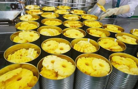 Pineapple Canning Production Line