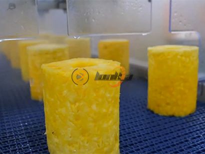 Looking to Upgrade Your Pineapple Canning Line?