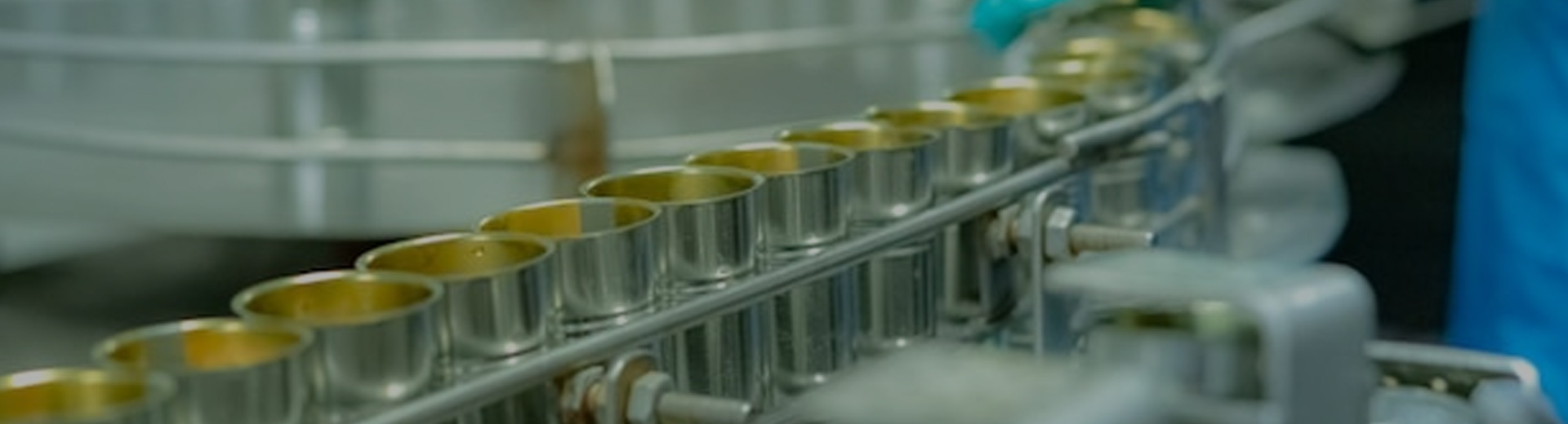 Fully Automatic Canned Food Production Line