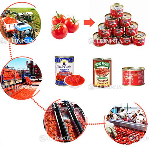 Canned Tomato Production Line
