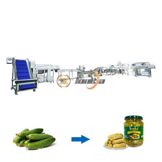 Canned Cucumber Production Line