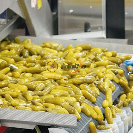 Canned Cucumber Production Line