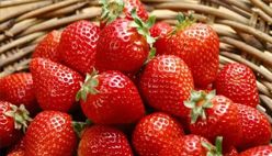 Strawberry