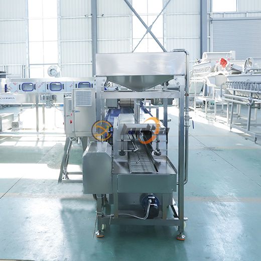 Can Filling Machine