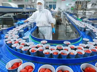 Canned Tomato Production Line