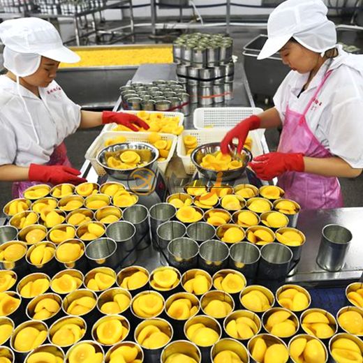 Peach Canning Production Line