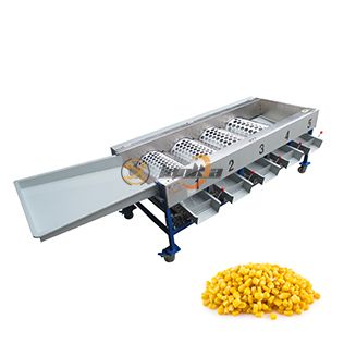 Sorting & Grading Machine
