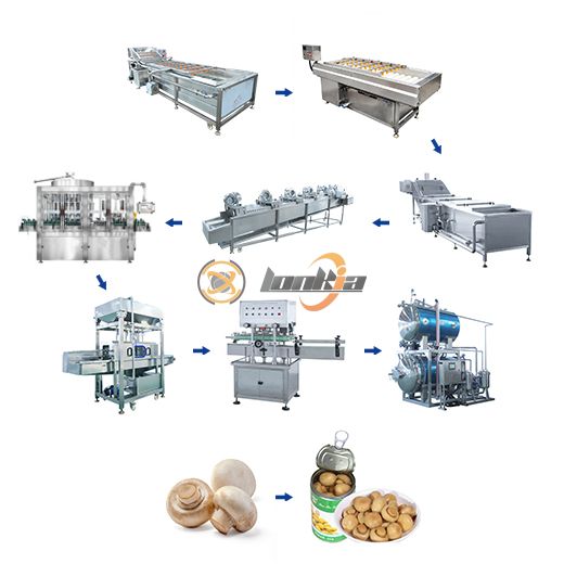 Canned Mushroom Production Line