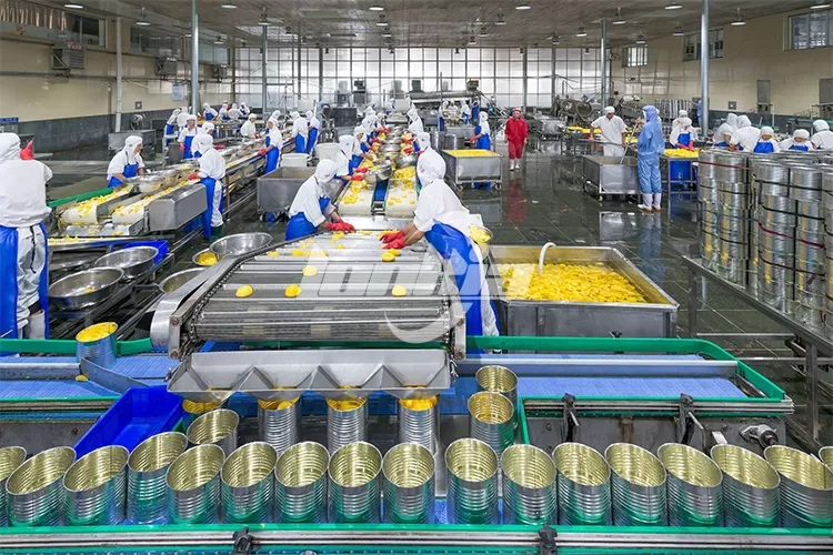 Step-by-Step Overview of a Canning Production Line Workflow