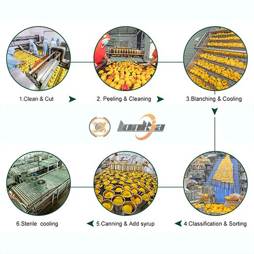 Peach Canning Production Line