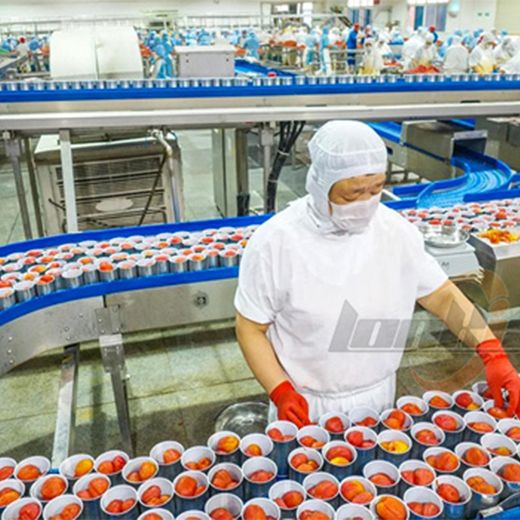 Canned Tomato Production Line