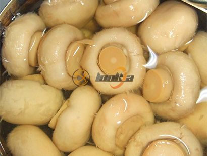 Looking to Upgrade Your Mushroom Canning Line?