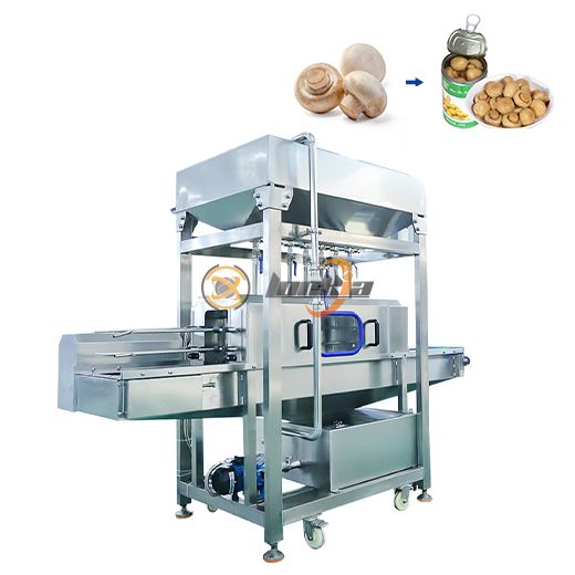 Canned Mushroom Production Line
