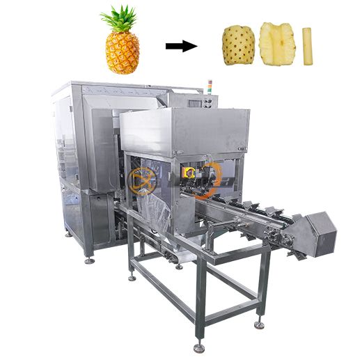 Pineapple Canning Production Line