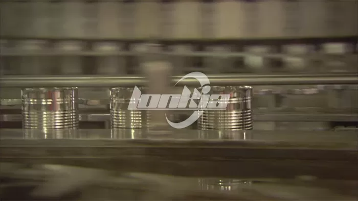 Soup Canning Line Design: Consistency, Sterility, and Flavor Retention