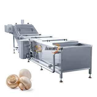 Blanching Machine