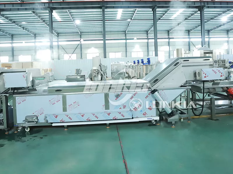 Vegetable Blanching Machine Price Guide: What Affects the Cost?
