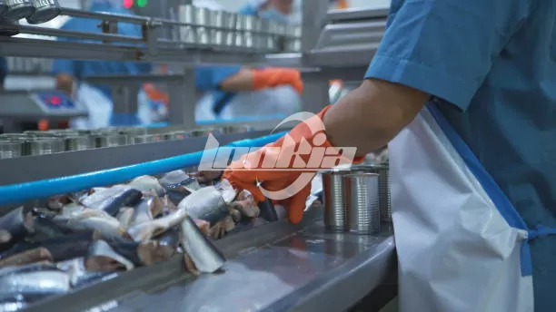 Canned Food Production Line Plant