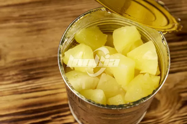 Canned Pineapple Production Line: How to Install and Commission?