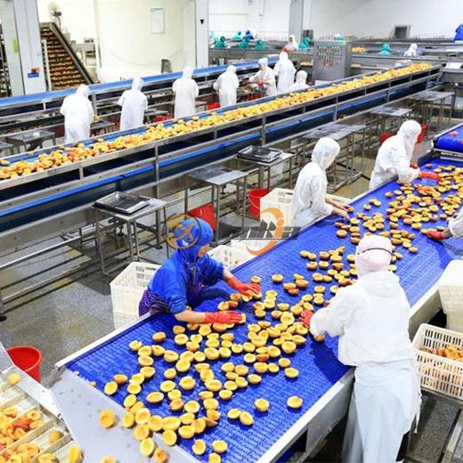 Peach Canning Production Line