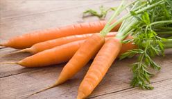 Carrot