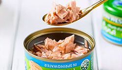 Canned Tuna