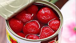 Canned Strawberry