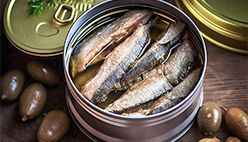 Canned Sardines