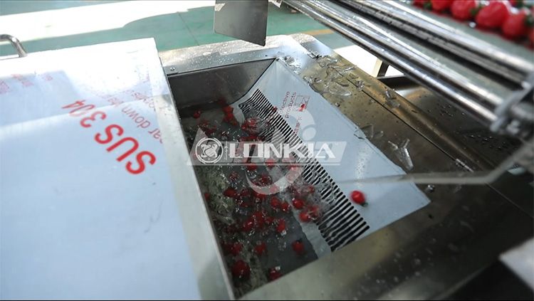 Hot Fill Canning Production Line: Ideal for Juices, Sauces & More