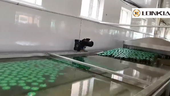 Canned Cucumber Production Line Video