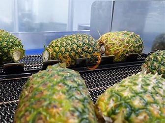 Pineapple Canning Production Line