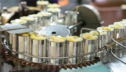 Canned Pineapple