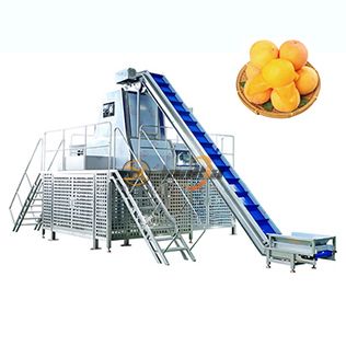 Steam Peeling Machine