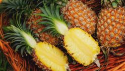 Pineapple