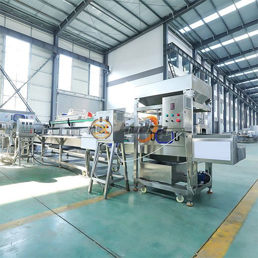 Canned Cucumber Production Line