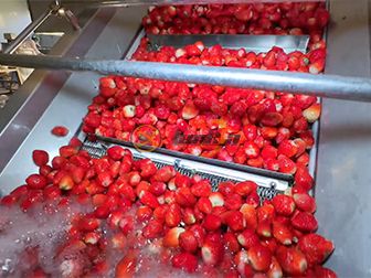 Strawberry Canning Production Line