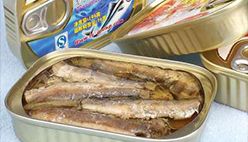 Canned Sardines
