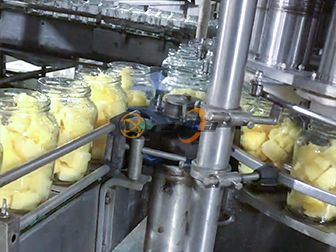 Pineapple Canning Production Line
