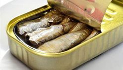 Canned Sardines