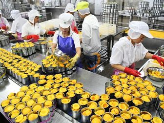 Peach Canning Production Line