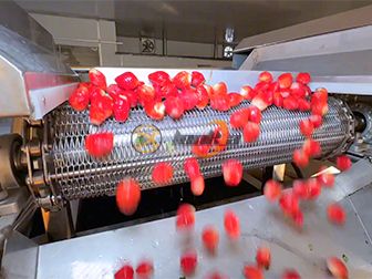 Strawberry Canning Production Line