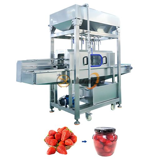 Strawberry Canning Production Line